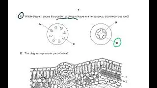 5090 BIOLOGY O LEVEL MCQ PAPERS EXPLAINED