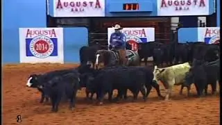 BAMACAT - 2014 ACHF Futurity Classic Finals