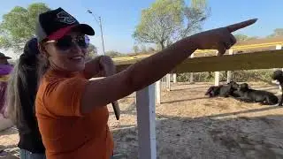 Primeira Feira de  2026 em Senador Rui Palmeira - AL 