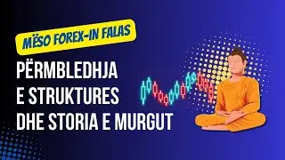 17. P&euml;rmbledhja e Struktures dhe storia e murgut