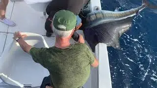 MANZANILLO, COLIMA, MEXICO PESCA DE PEZ VELA