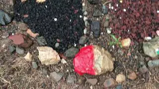 My backyard Medicine Wheel