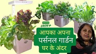 GreenLoop Grow+ ग्रोइंग सिस्टम &mdash; आपका अपना पर्सनल इंडोर गार्डन, अब आपके घर के अंदर। आसान।