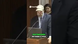 Перспективы конопли: раскрытие экономического потенциала уже сегодня.