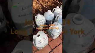 Winter Sowing - Backyard Gardening