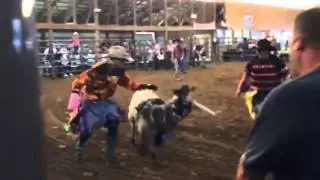 Fox Hollow Rodeo Sheep Rider 2