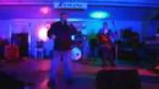 Wooly Bully - Bandana - Venice , FL