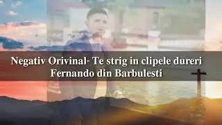 Negativ Original- Te strig în clipele dureri,  Fernando din Barbulesti.