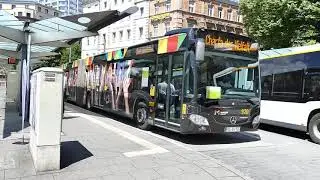 Vielf&auml;ltigkeitstag 2019 - Die Vielfaltslinie der Mainzer Mobilit&auml;t