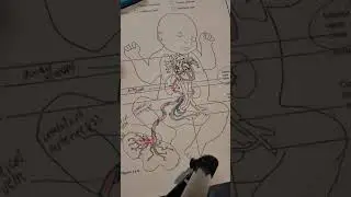 детский рисунок
