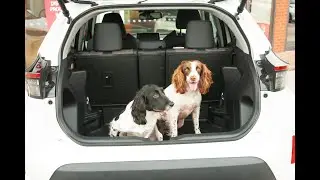 Toyota Yaris Cross - dogs love it too!