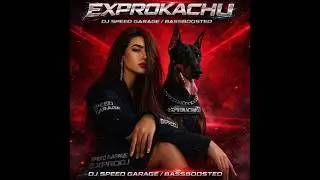 SUB HOUSE Exprokachu DJ