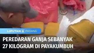 Peredaran Ganja Sebanyak 27 Kilogram di Payakumbuh | Liputan 6 Padang