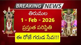 tirumala 1 february 2026 present situation sarva darsanam | today garuda seva full details ttd news