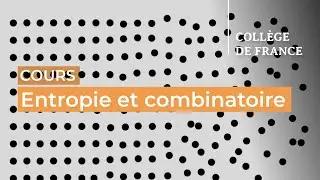 Entropie et combinatoire (1) - Timothy Gowers (2025-2026)