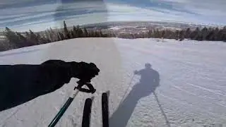 bladee - The Fool Intro (SKIING REACTION⛷️)