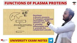Functions of Plasma Proteins || Blood Physiology || MBBS , BDS , BMLT , DMLT , Nursing lecturers