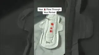 How Things Actually Work! #Shorts