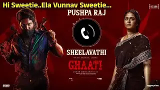 Allu Arjun Phone Call On Anushka Shetty | Pushpa Raj x Sheelavathi Audio Call | iDream Gold