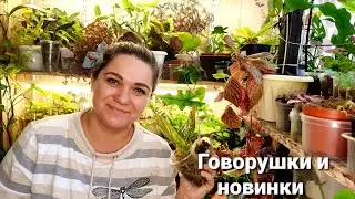 Пришла закупка с Мики 🤪