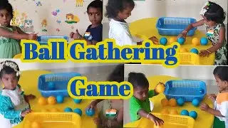 Colour Ball gathering game/ Happy learning preschool and daycare/ Hand eye co ordination