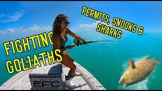 Everglades GOLIATH, PERMIT, SNOOK, COBIA & MORE! Epic Footage, MUST WATCH*
