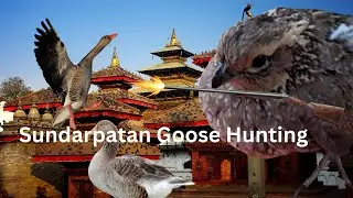 Sundarpatan Goose Hunting