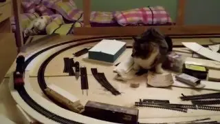 Cat VS. HO Scale  CN SD70-M2
