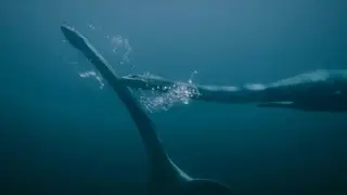 Prehistoric Planet [2022] - Tuarangisaurus Mating ritual