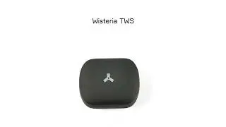 Wisteria TWS: наушники в с поддержкой беспроводной зарядки и ёмким кейсом на 600 мАч