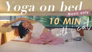 10 MIN  Yoga On Bed l  Daily stretching l Music Only l with cat ​ 🎶🌟