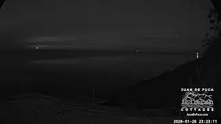 🌊 LIVE: Dungeness Bay EAST- Serene Coastal Views & Wildlife 🦅🐟
