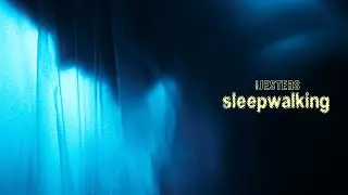 The JESTERS - Sleepwalking