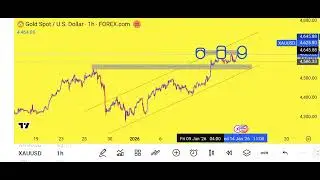XAUUSD GOLD Price Prediction For Today ||GOLD Analysis|| Simple Analysis|| Daily Forecast||