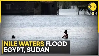 Surging Nile Waters Inundate Egypt and Sudan, Revive Dispute Over Ethiopian Mega-Dam | WION