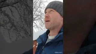 Влияние окружения на интересы #мысли #монолог #философия #рассуждение