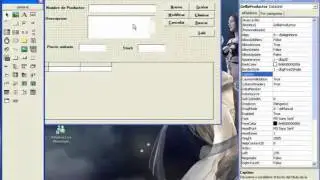Curso Visual Basic 6 - VT17: Mantenimiento Productos