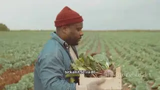 الاستثمار في السودان. دليلك السريع لزراعة الفول السوداني في السودان 