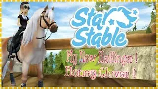 Honey Clover - Star Stable Online