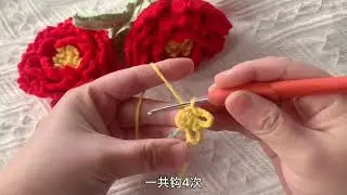 阿富汗针版牡丹钩织教程之花芯 #让喜欢的事成为生活 #手工毛线花朵 #爱生活爱编织 #我的手工作品 #一束编织花的仪式感