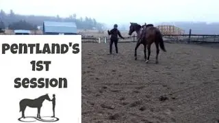 Pentland has his 1st training sessions