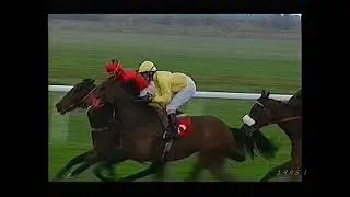 1995 Shadwell Stud Nell Gwyn Stakes