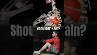 This Exercise Fixes Shoulder Pain FAST!🤯