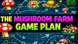 🍄Le plan d'action de la champignonni&egrave;re !💥Cultivons des champignons ! #Champignonnier #Champignon...