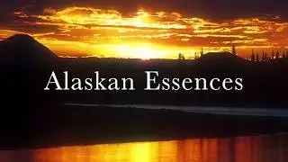 Environmental Essences 1/2: The Natural World as Partner in our Healing Journey