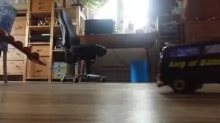 Testlauf Dickies Bulli Umbau