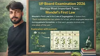 ##Most important topic##Mendels First Law##Monohybrid Cross$$##@@Up board Examination 2026##$Biology
