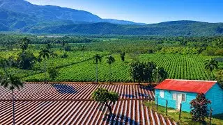El campo mejor guardado del sur dominicano | Aguas frías, montañas y naturaleza pura