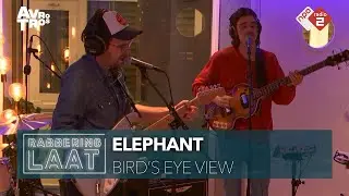 Elephant - 'Bird's Eye View' live bij Rabbering Laat