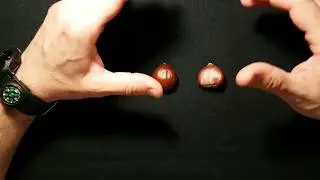 73. Yesca natural de una casta&ntilde;a
